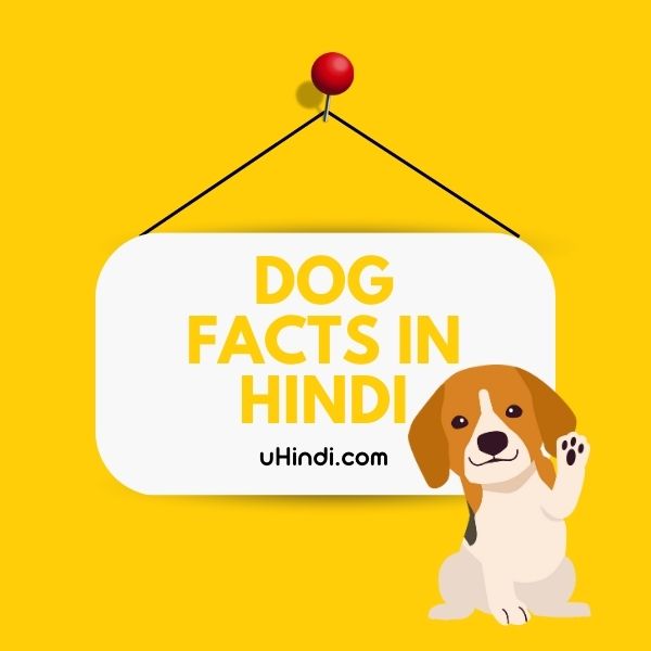 Dog Facts in Hindi